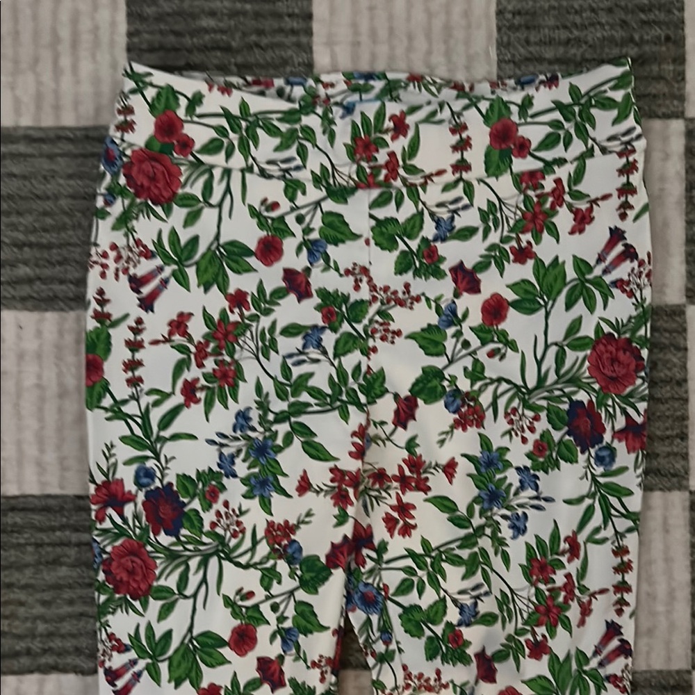J. McLaughlin Floral Print Pants with Red and Green Accents
